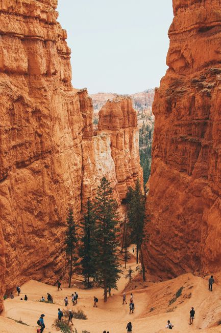 A group of people are standing in the middle of a canyon.