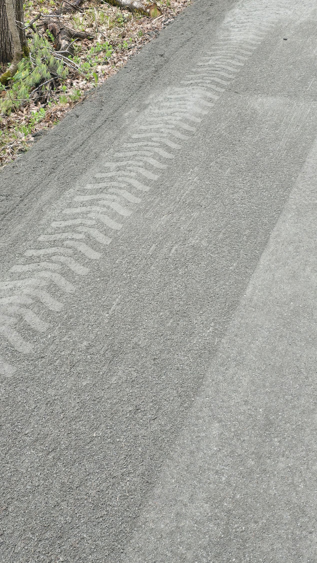 Gros plan sur une route pavée grise bordée d'herbe.