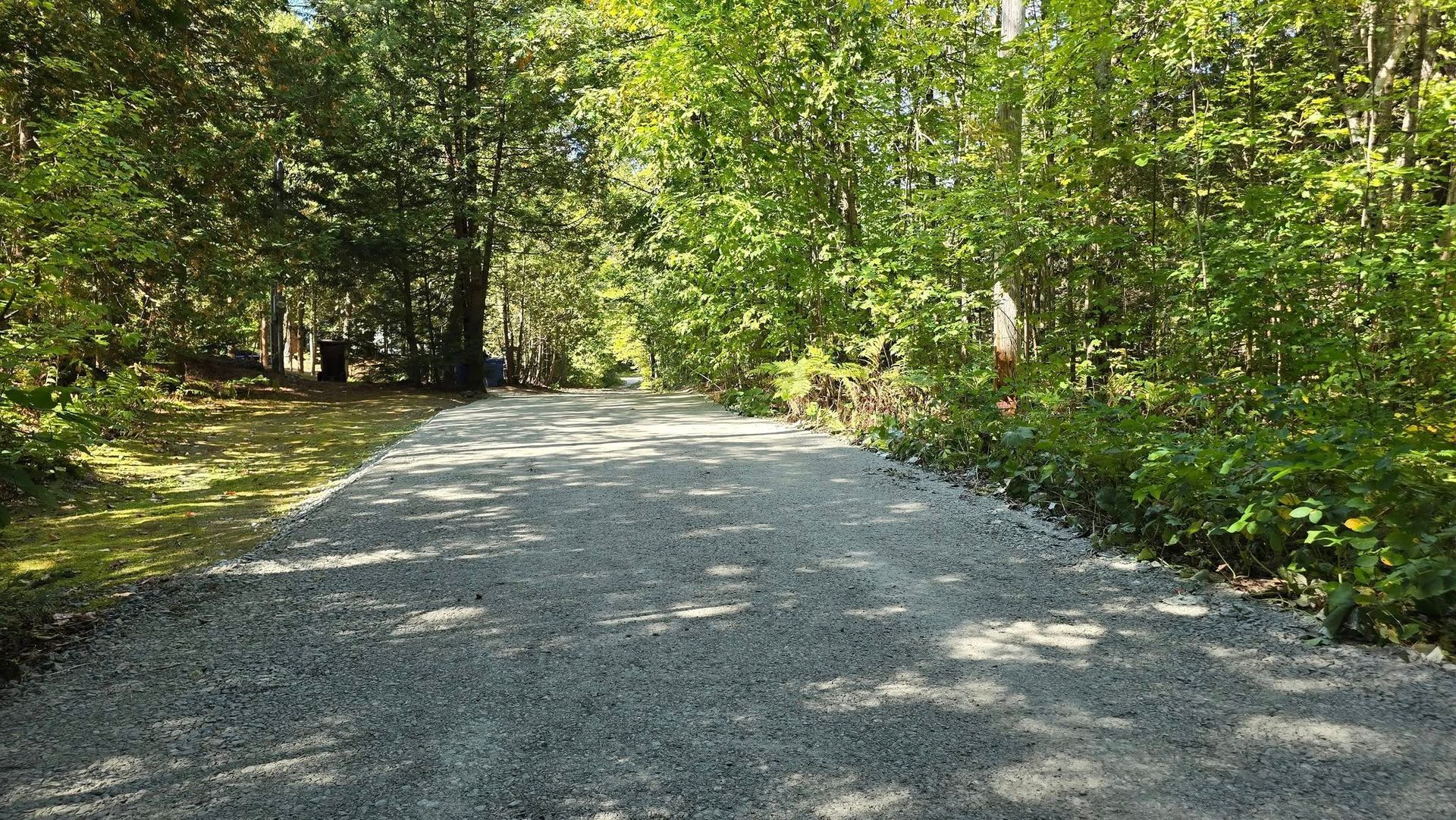 Chemin de gravier traversant une zone boisée et ensoleillée, avec des arbres verts et des ombres tachetées.