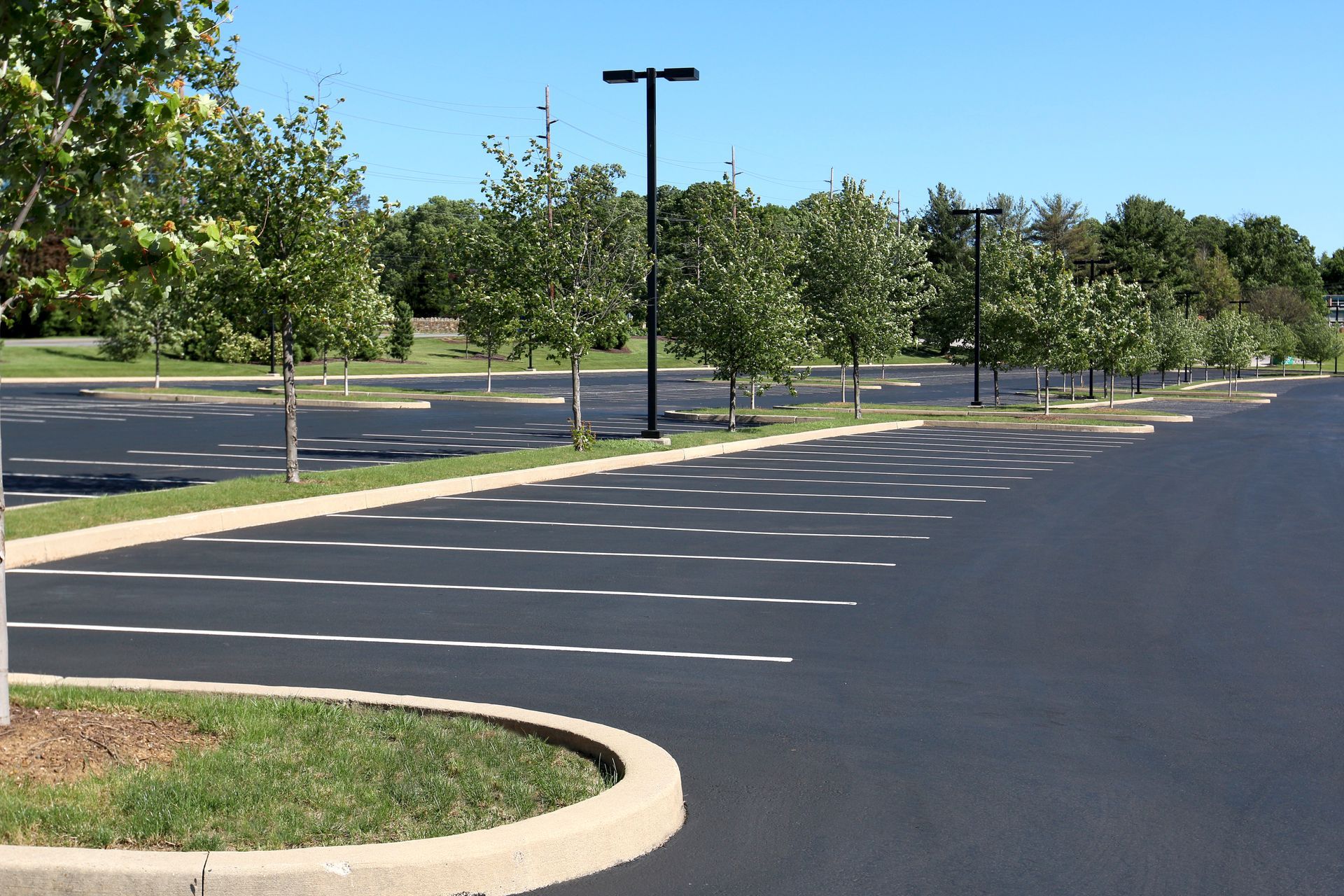 Parking vide avec des places peintes, des arbres et un lampadaire noir par une journée ensoleillée