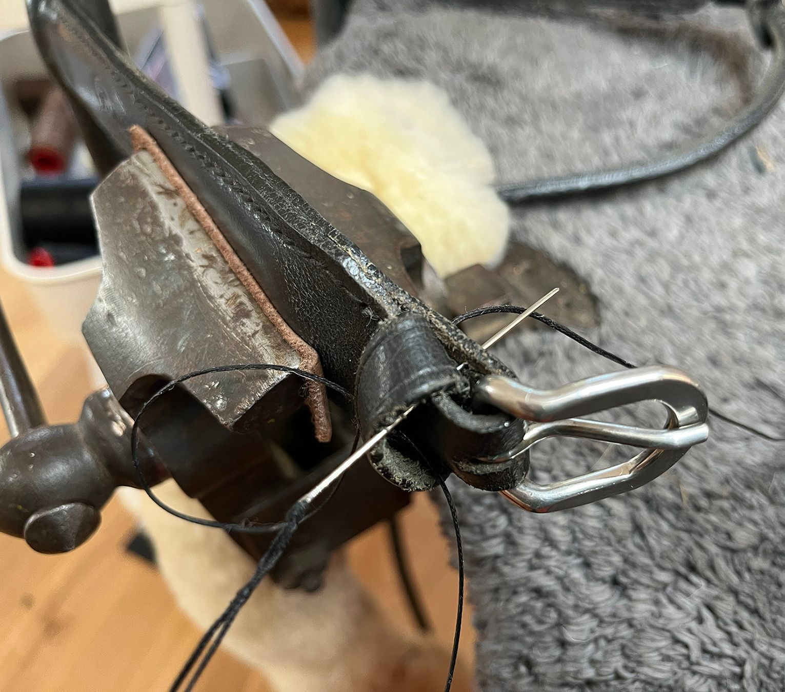 Mobility Bridle