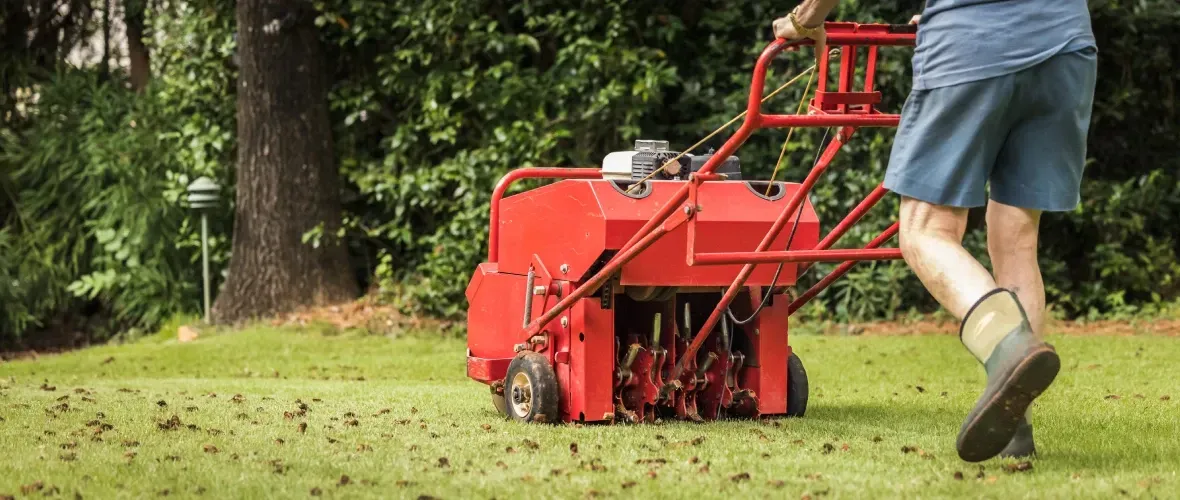 aerate your lawn in north texas