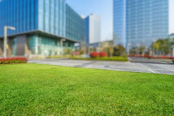 commercial landscape design service copmany in sherman tx
