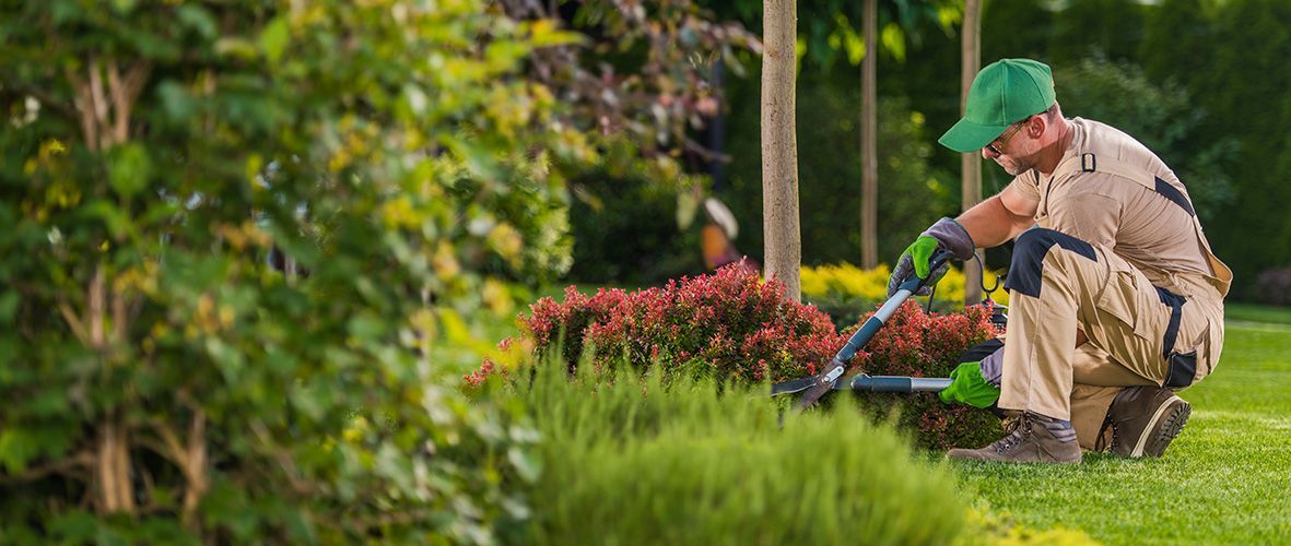 commercial landscaping grounds maintenance sherman tx