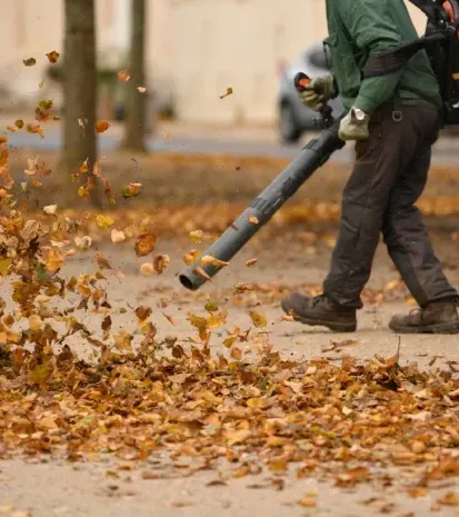 fall clean up and leaf removal services in sherman tx