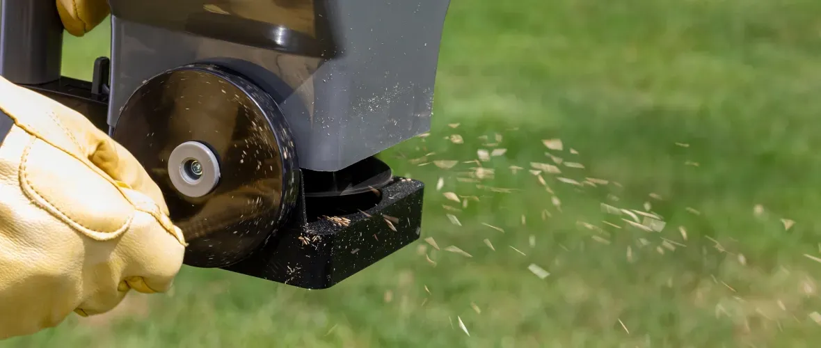 Fall Lawn Care in Sherman, TX: What North Texas Lawns Need Before Winter