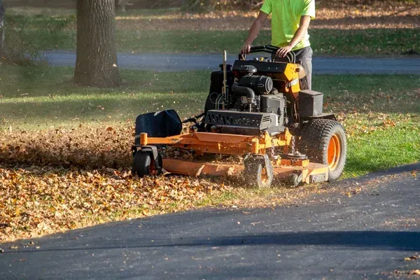 fall yard cleanup service company in sherman tx
