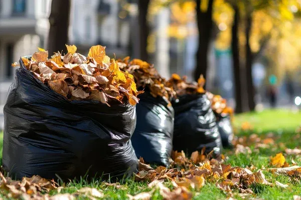 fall yard cleanup services in sherman tx