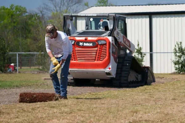 landscaping experts in sherman tx