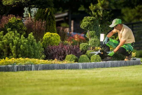 landscaping services in pottsboro tx