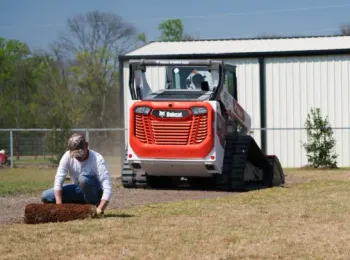landscaping services in sherman tx