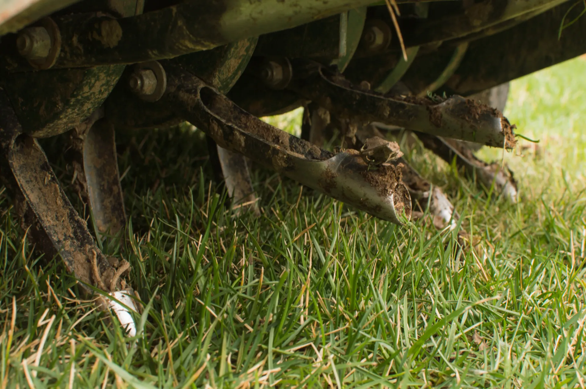 lawn aeration company in sherman tx
