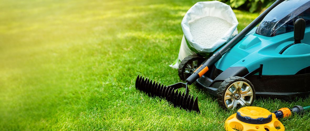 lawn care and landscaping cost in sherman tx