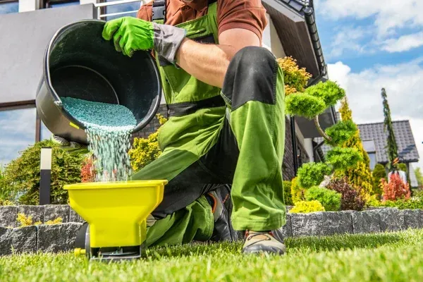 lawn fertilization solutions in sherman tx