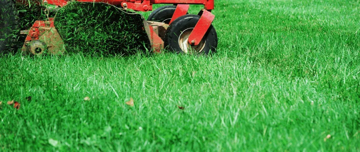 lawn mowing height guide north texas