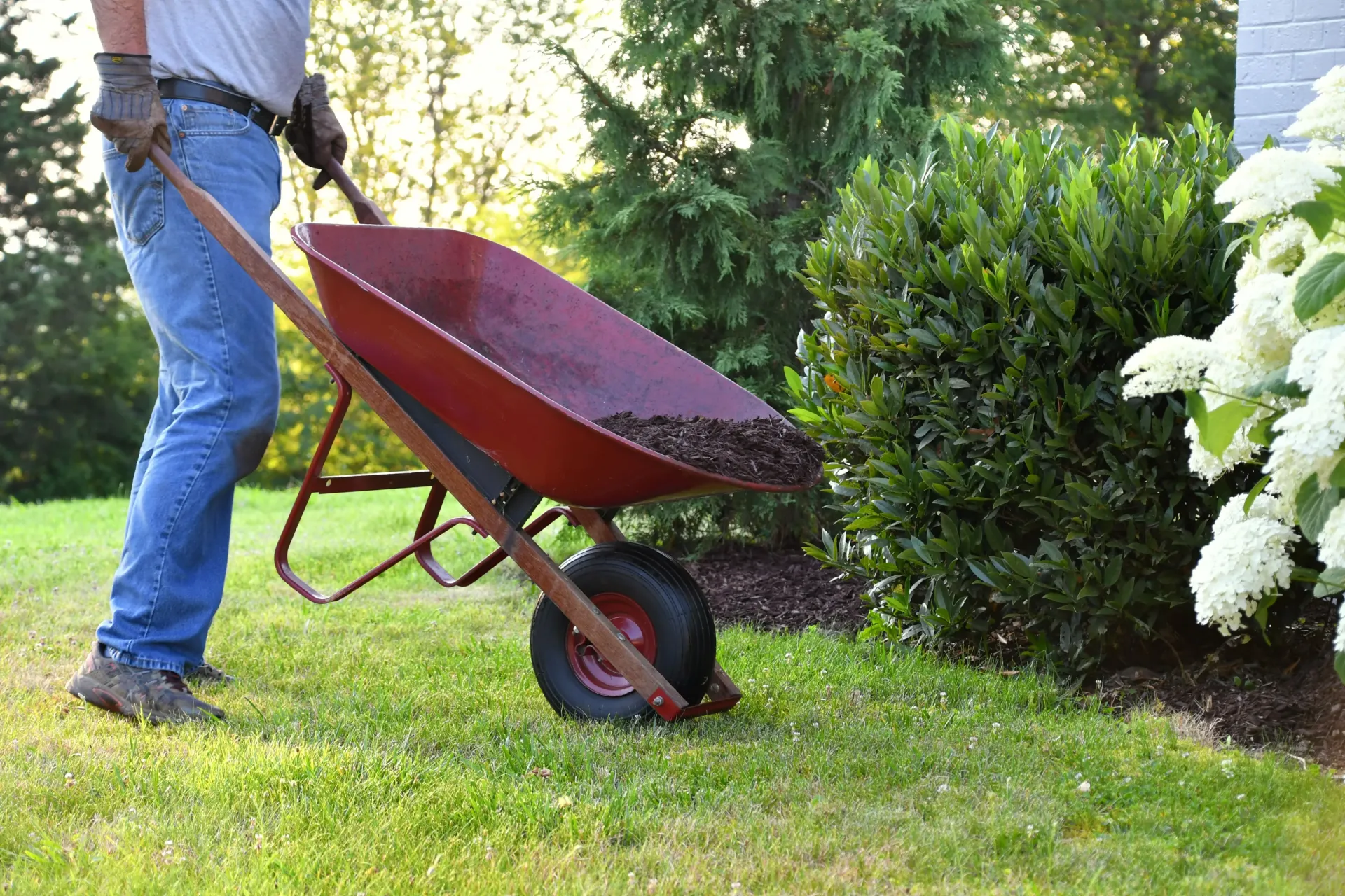 mulch replacement experts in sherman tx