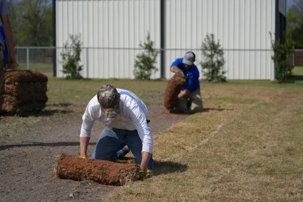sod installers and hydroseeding company in sherman tx