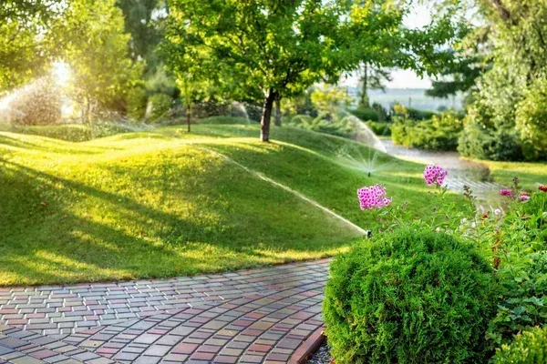  tree installation service company in sherman tx