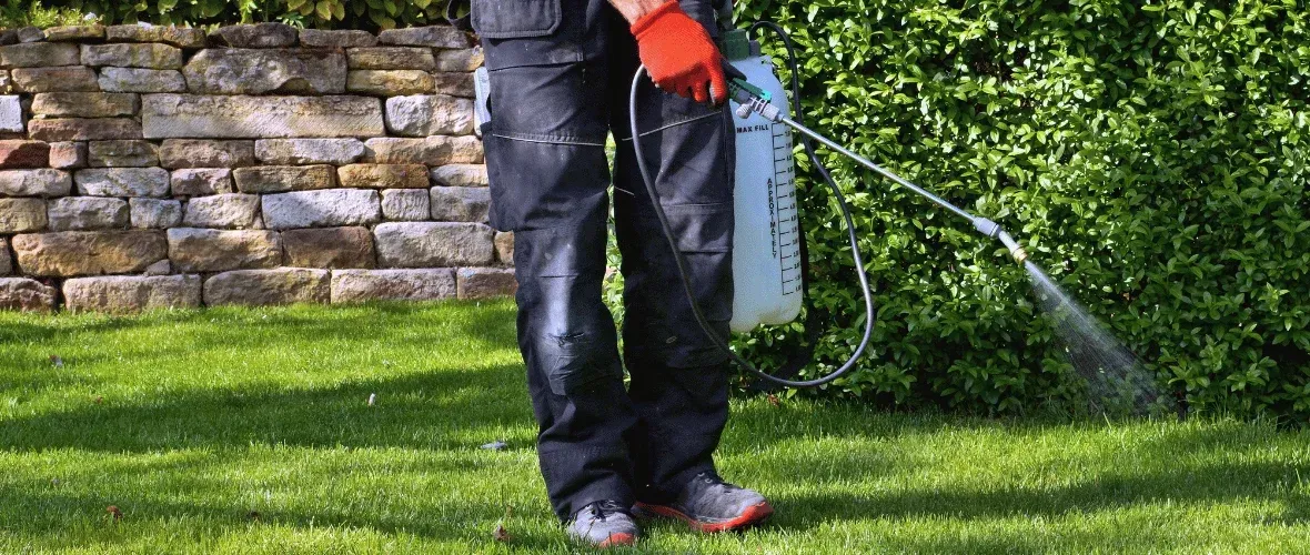 when to fertilize lawn north texas