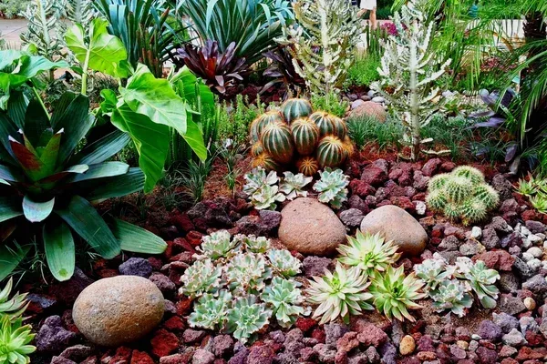zeroscape landscape conversions service comapny in sherman tx