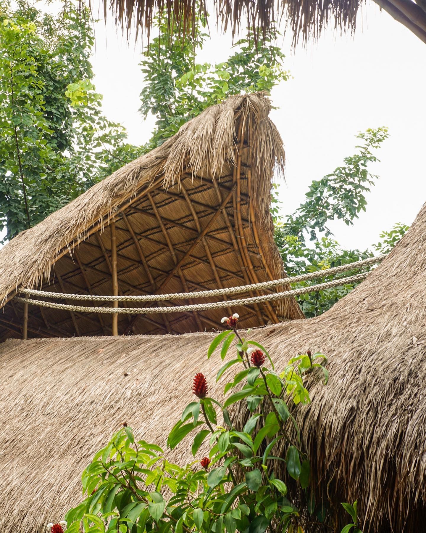 Thatched roofs of tropical-style structures set against green trees, with a flowering plant in the foreground.