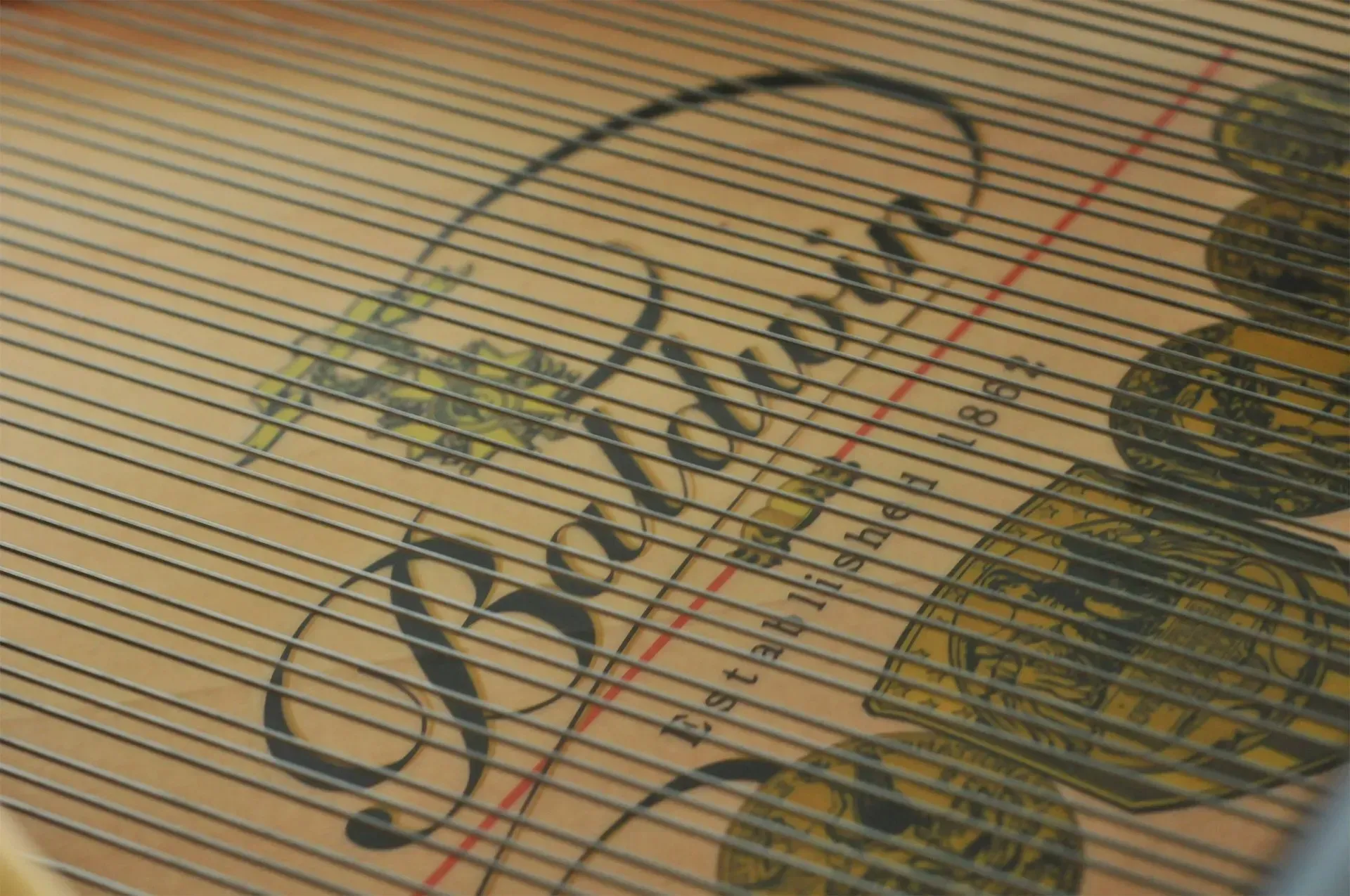 A close up of the inside of a steinway piano