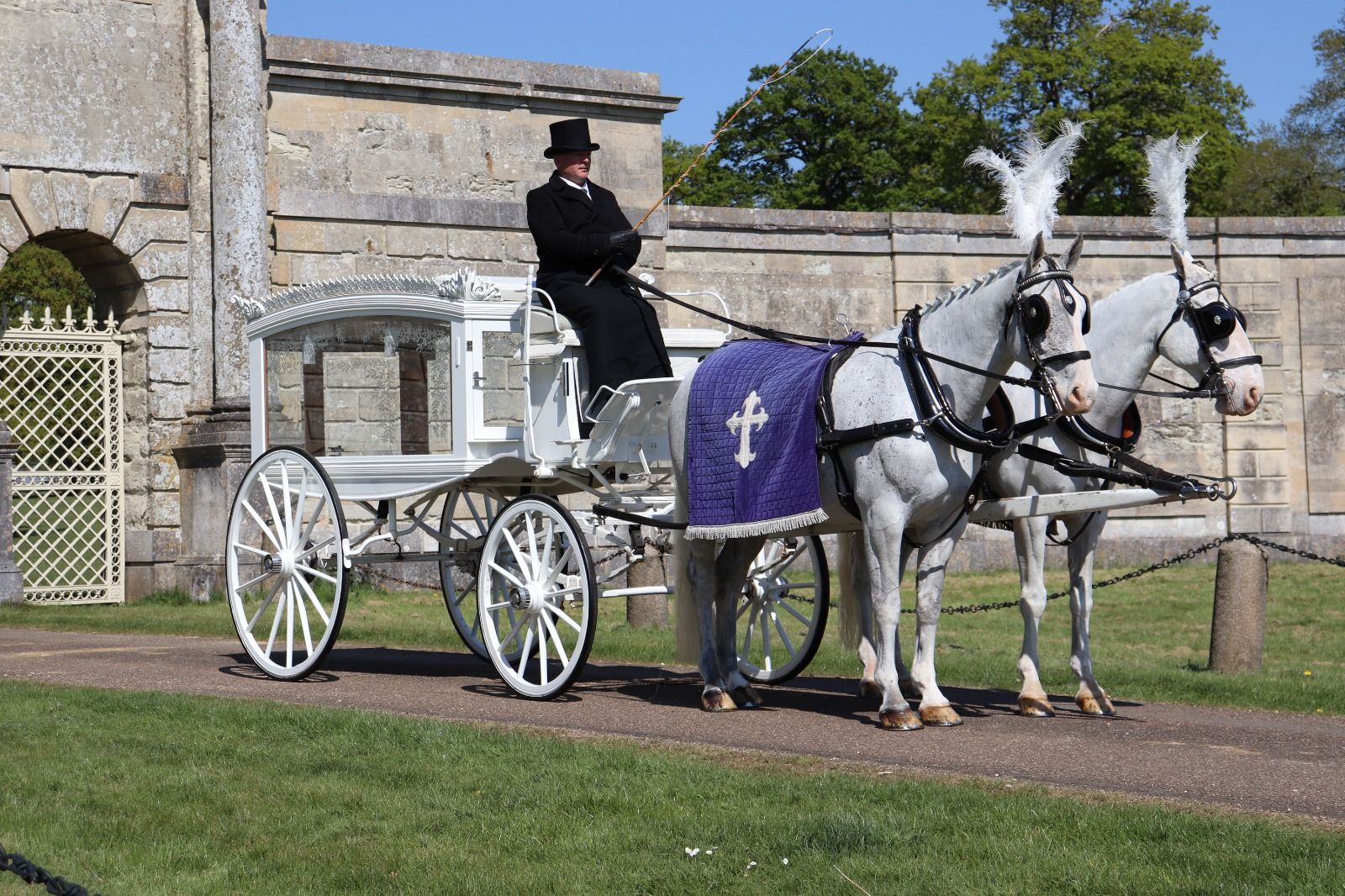 White Funeral Coach with Grey (White) Horse Couple