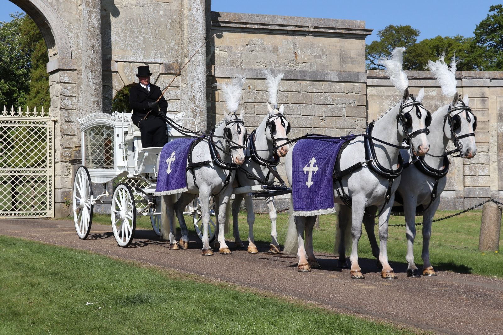 White Funeral Coach with 4 Grey (White) Horse