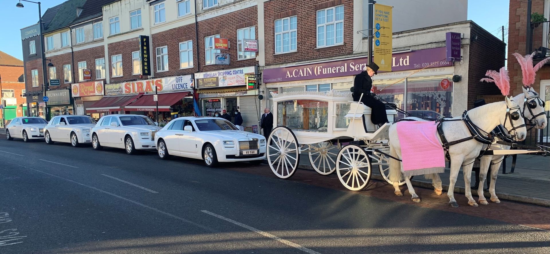 White Funeral Coach with Grey (White) Horse Couple with Rolls Royce Accompaniment