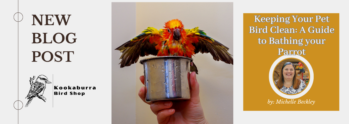 Keeping your pet bird clean: A guide to Bathing your Parrot