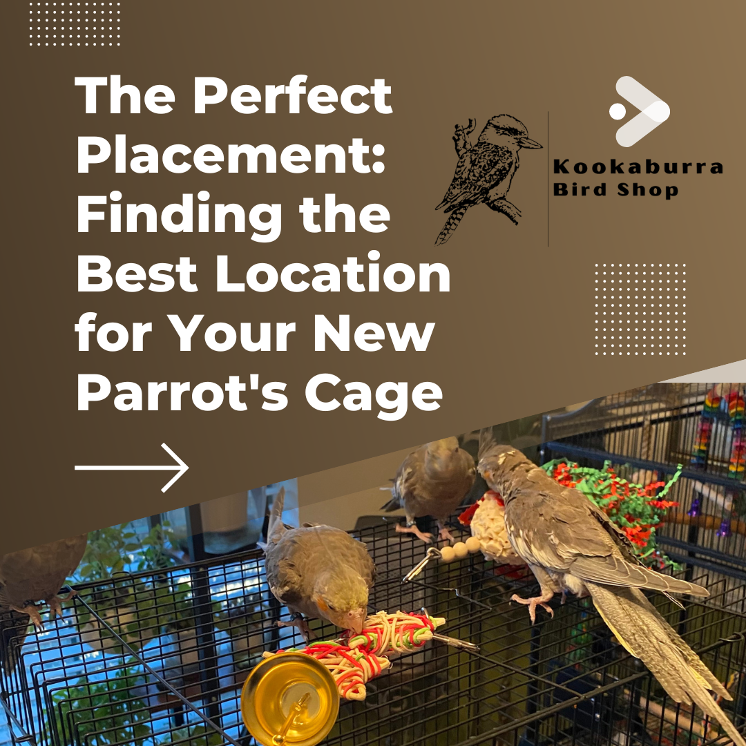 Parrot Cages