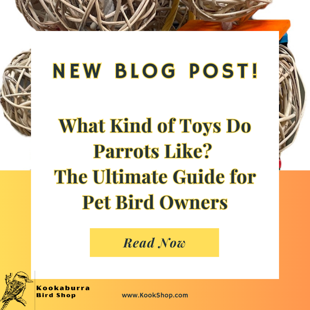 Parrot Toys