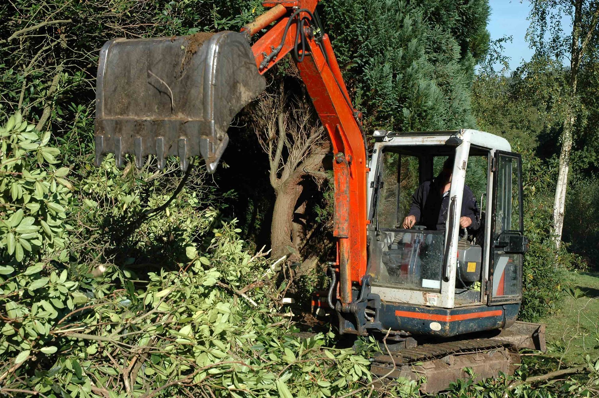 Land Clearing — Salem, NC — Flores Tree Service