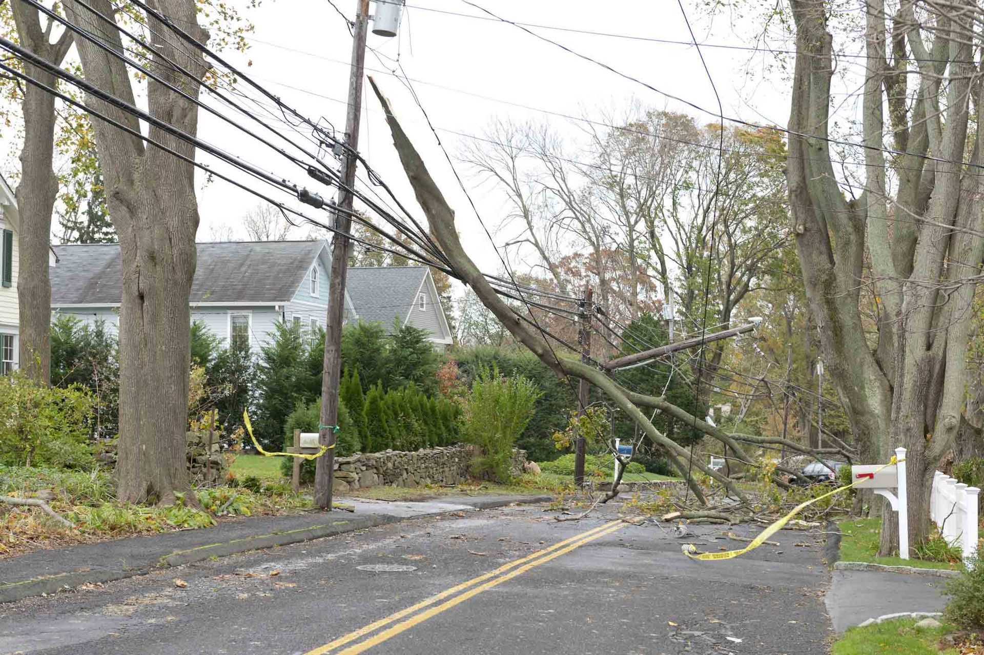Storm Damage — Salem, NC — Flores Tree Service