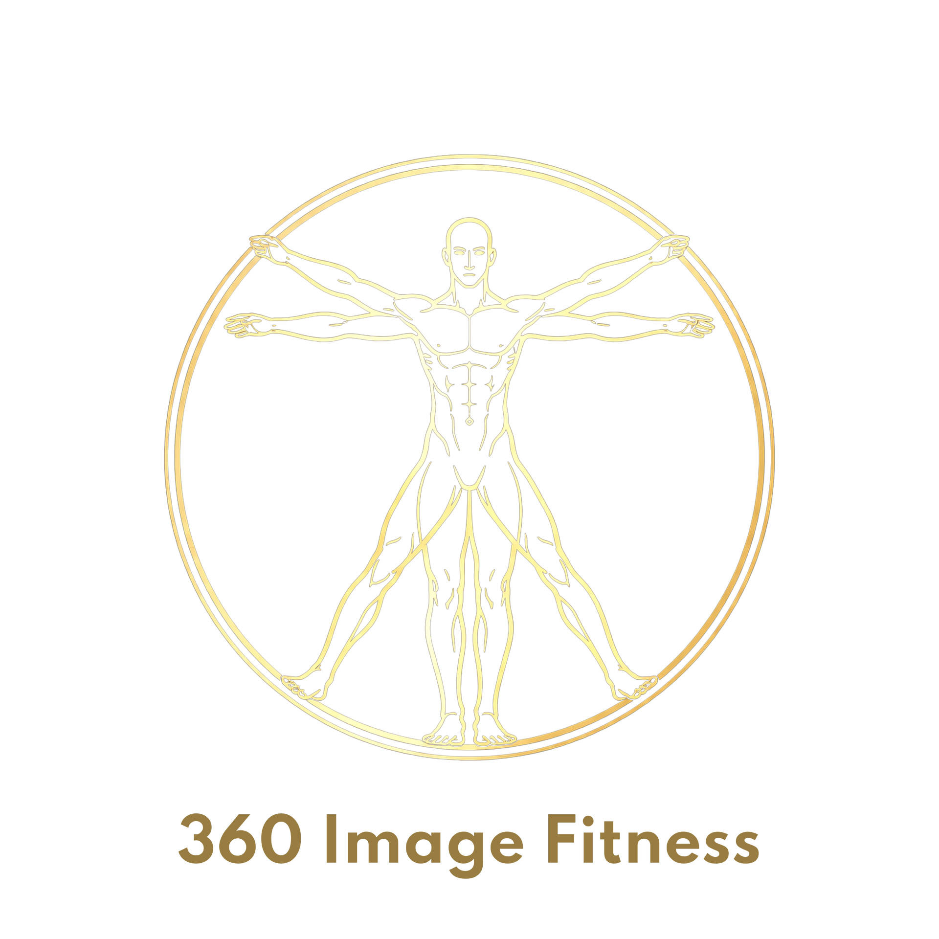 360 image fitness gold logo with a white background