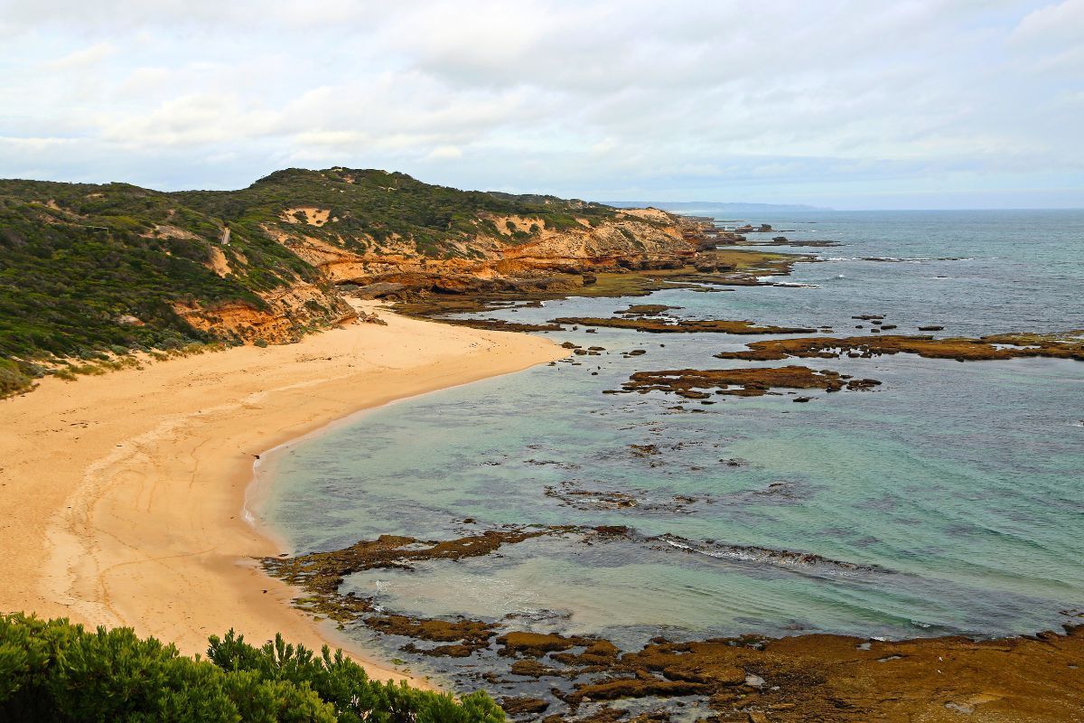 beach at Mornington Peninsula