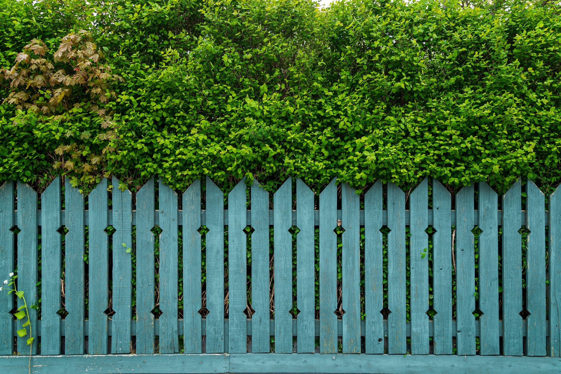 Fence installation — Nashville, TN — Davila’s Remodeling and Construction