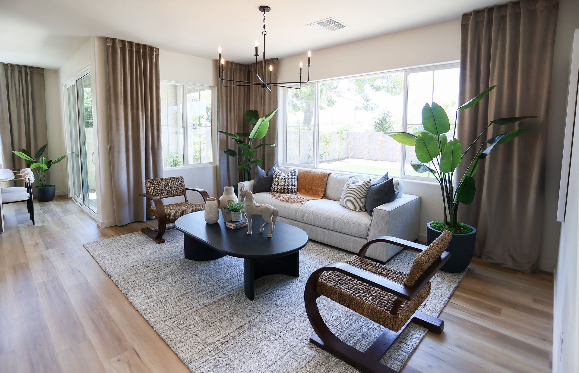 Bright living room with large windows, white sofa, black coffee table, woven chair, and tall green plants