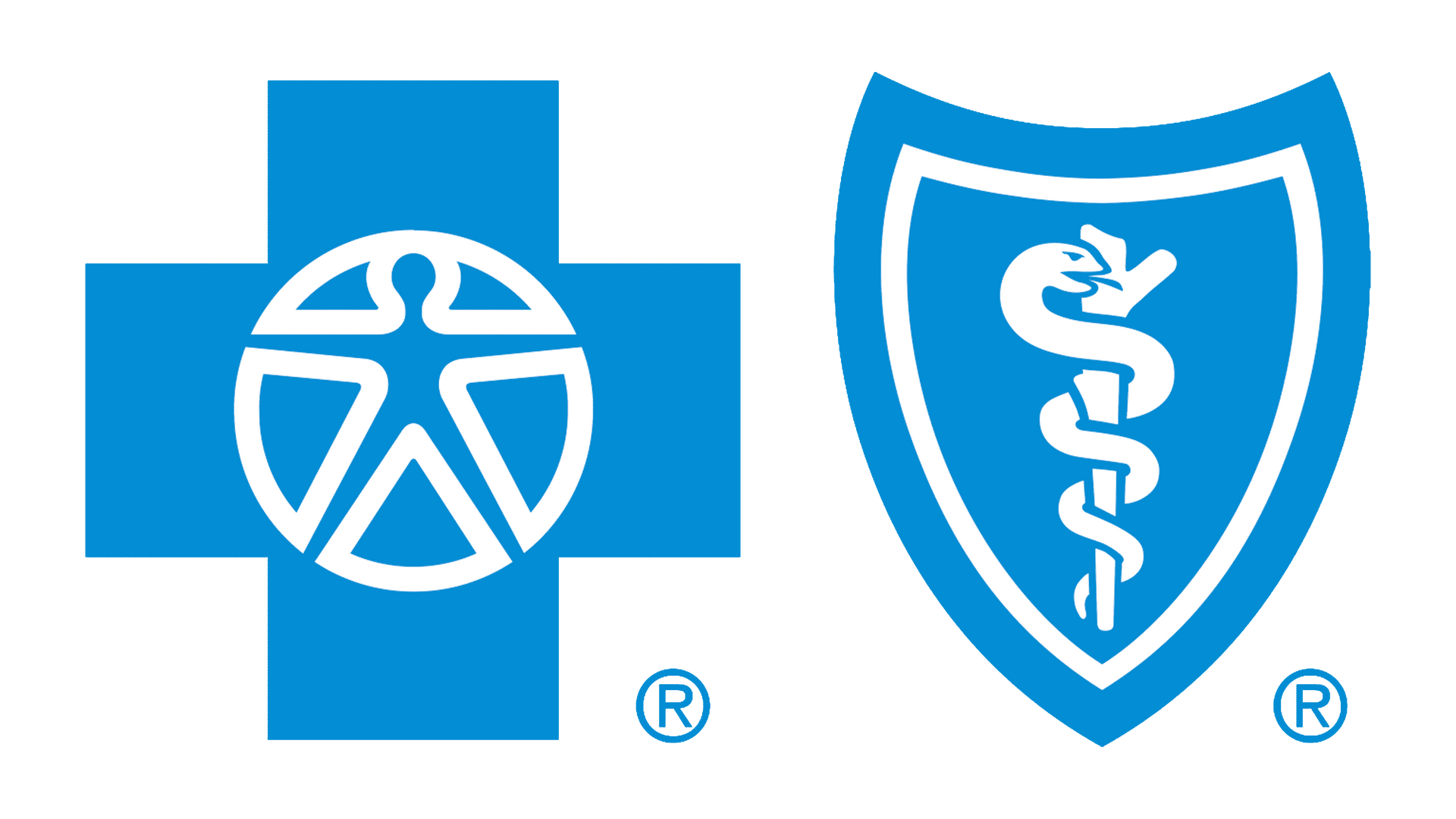 Blue Cross Blue Shield PPO logo