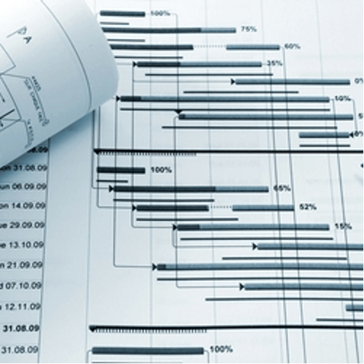 Gantt chart with horizontal timeline bars and percentage labels on a white project planning document