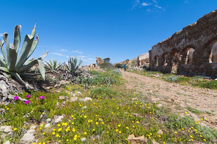 trekking in Caprera