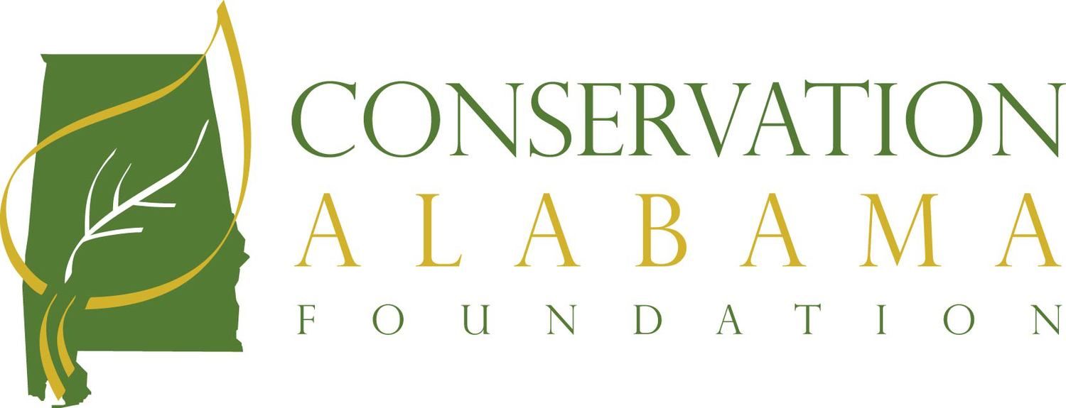 Logo of company