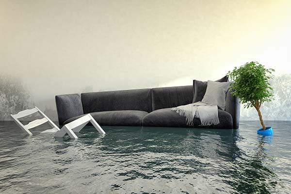 A dark grey sofa, a white chair, and a small potted tree partially submerged in a flooded room.