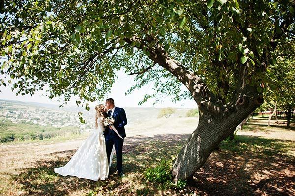 A bride and groom kiss under a large, leafy tree on a grassy hill overlooking a town on a sunny day.