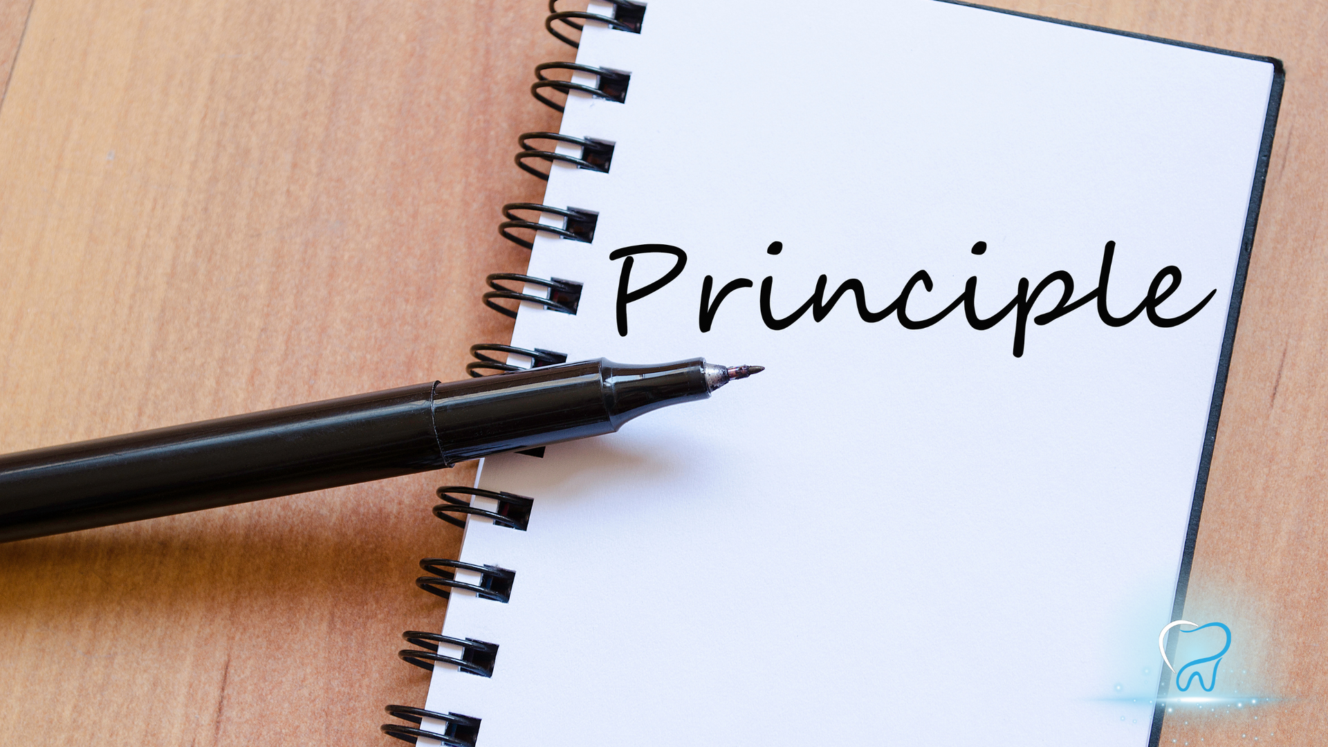 Notebook page with the word “Principle” and a pen pointing at it on a wooden desk