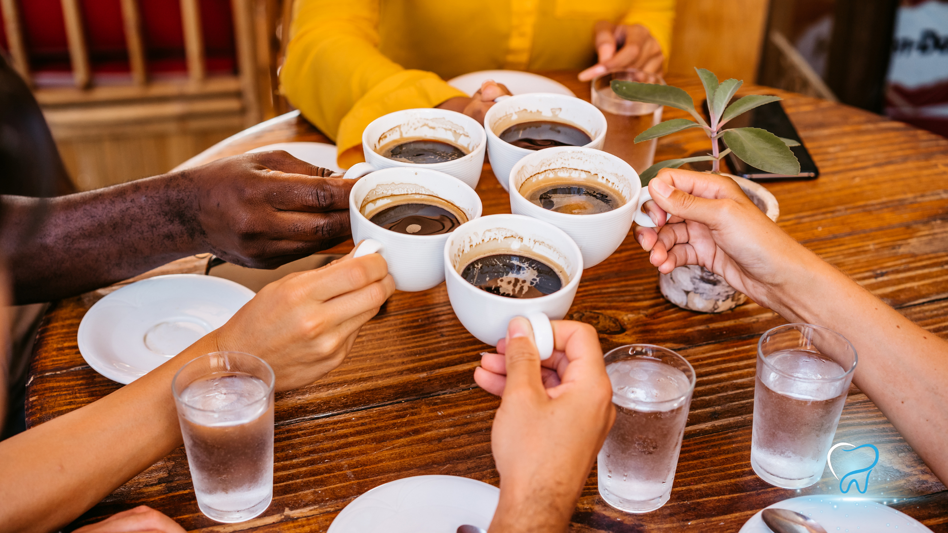 Hands clinking tea cups around a wooden table with glasses of water and a small plant centerpiece.
