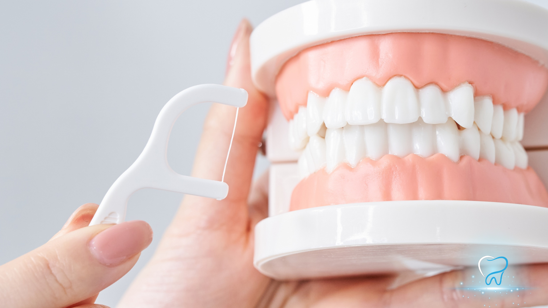 Hand holding floss beside a dental model with teeth and pink gums