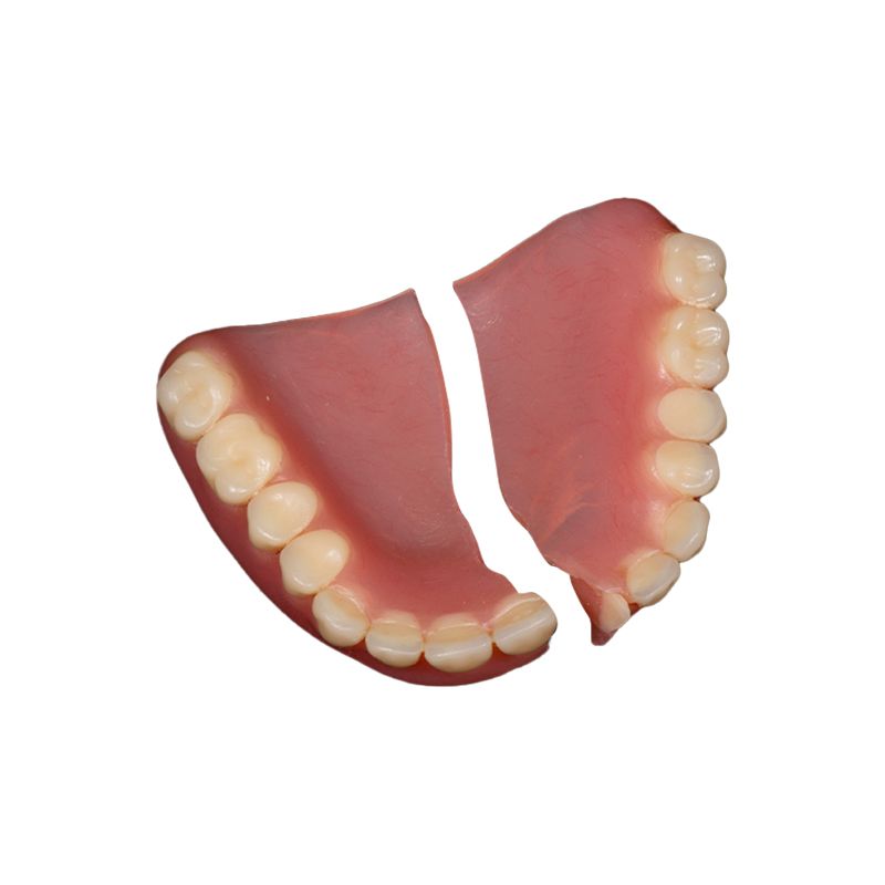 Two pink gum-and-teeth model halves on a white background