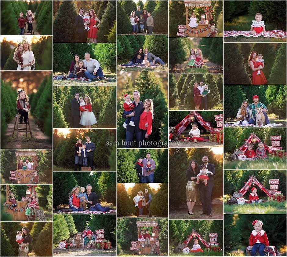 Tree farm and hot cocoa theme — Pearland, TX — Sara Hunt Photography