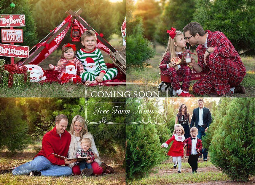 Tree farm minis — Pearland, TX — Sara Hunt Photography